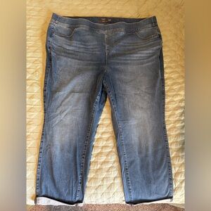 Torrid Women’s Straight Leg Jeans